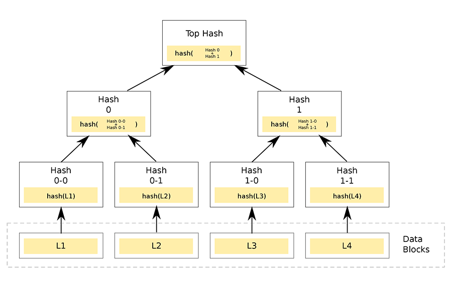 Merkle Tree Hash Diagram